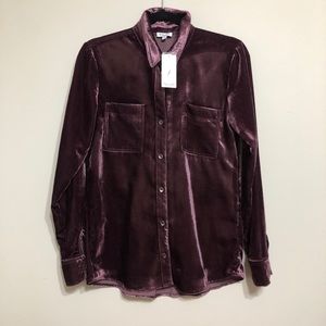 Velvet Splendid Blouse